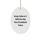 Funny Vice President Oval Ornament Gifts from Men to Office Vice President Friends - Christmas Unique Ornaments - Image 1